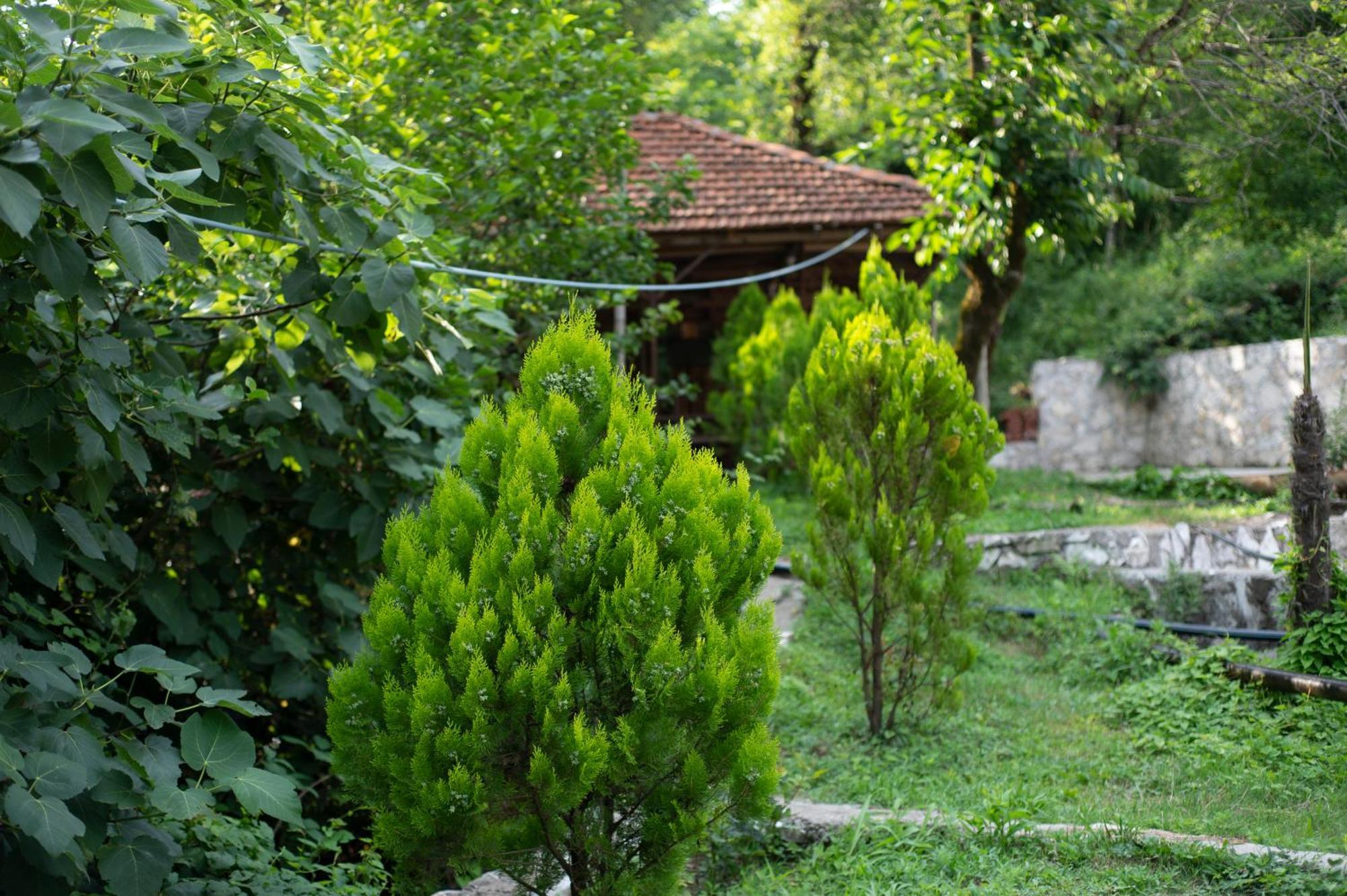 Gordela Hotel Gordi Exterior foto